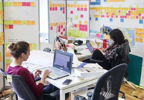 服務(wù)設(shè)計留學(xué)擇校指南 探索百花齊放的英歐院校